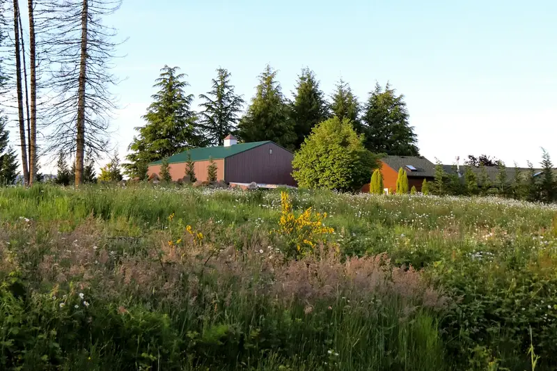 A rural property with a barn, evergreen trees and a grassy field in Washington (stock photo)